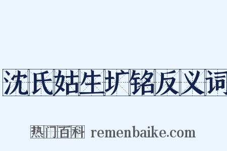 沈氏姑生圹铭反义词是什么意思的图片
